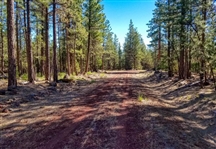 CASH SALE Discount Modoc County Approx. 1 Acre Northern California Recreational Make A One Time Full Payment and the Deed Is Yours!